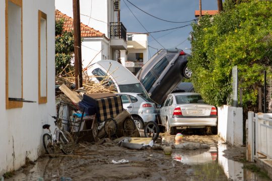 rodos plimires